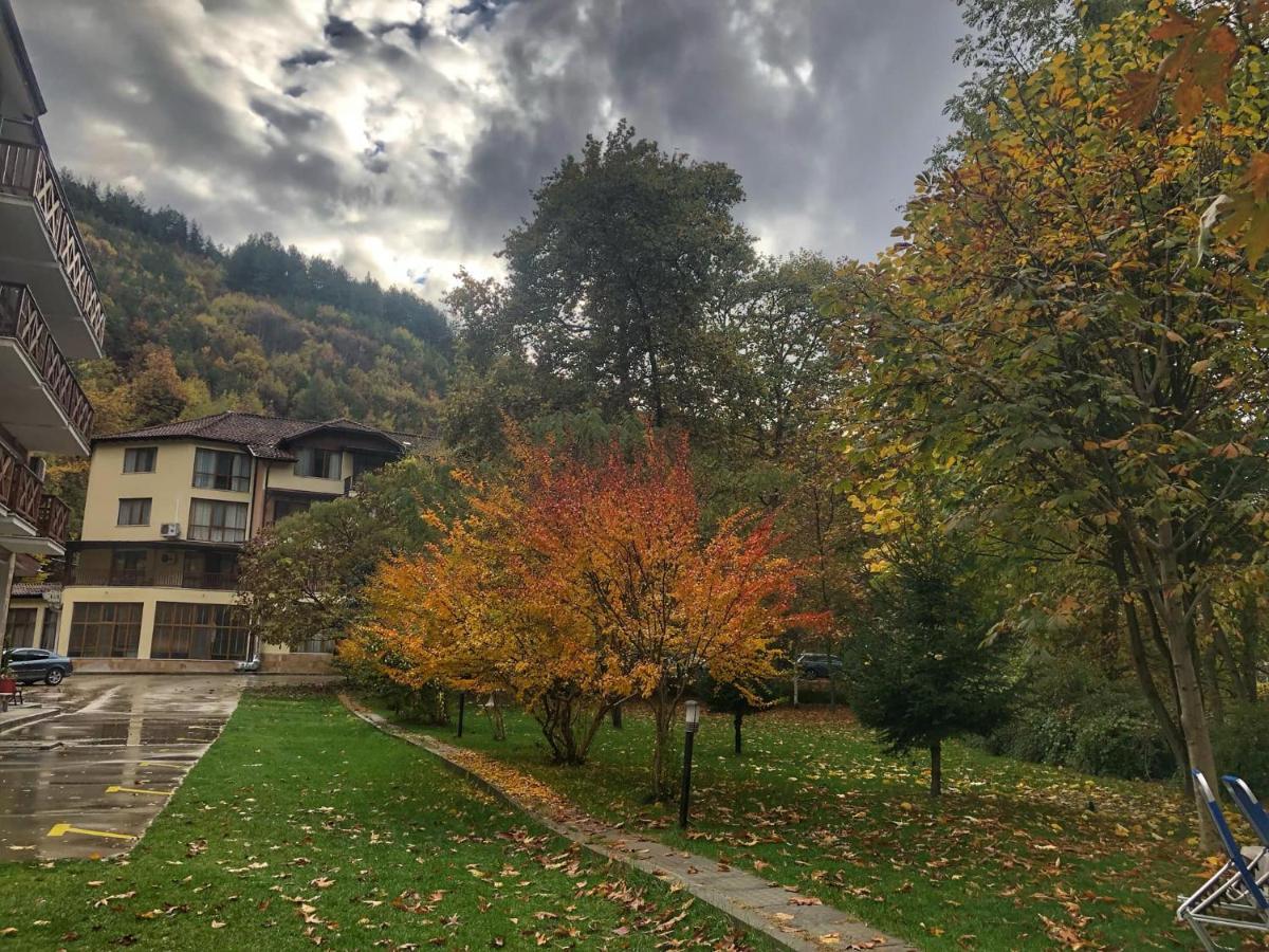 Delta Ognyanovo (Blagoevgrad)